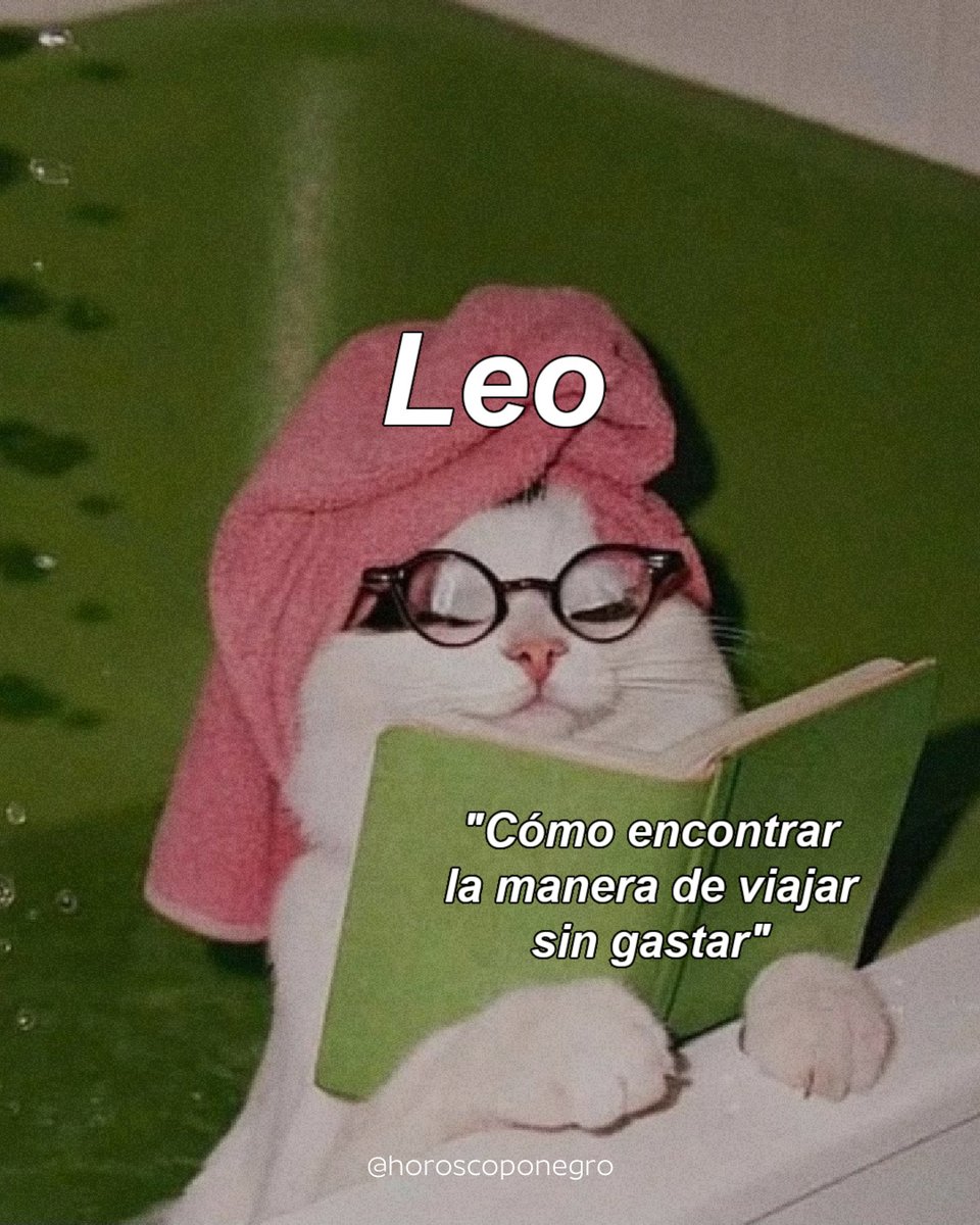 ▲LEO▲ tweet media