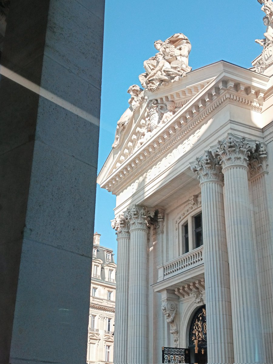 Fish & Dive 🐙'Préservons la Méditerranée' tweet media