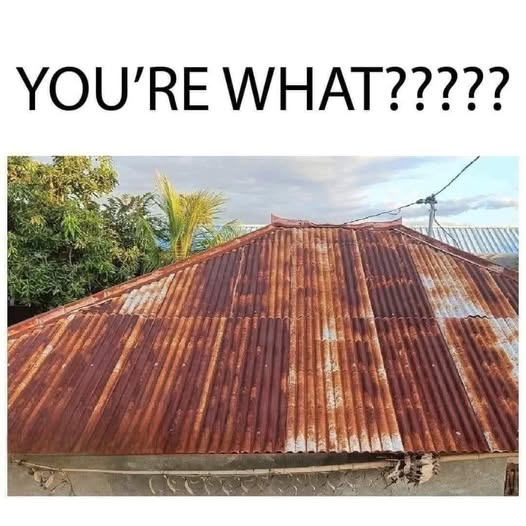 Papa Woof und Krampus und Bleaken tweet media