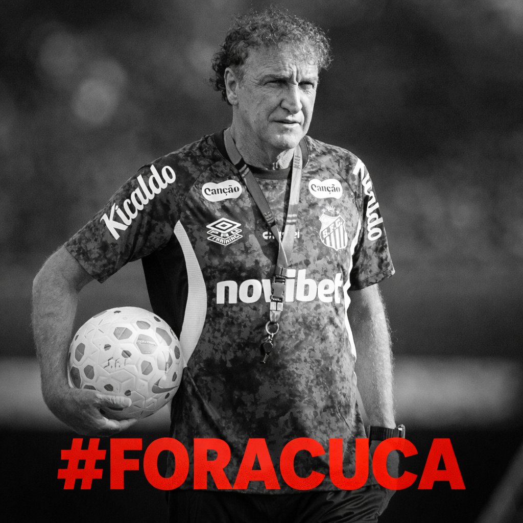 Central Baleinha tweet media