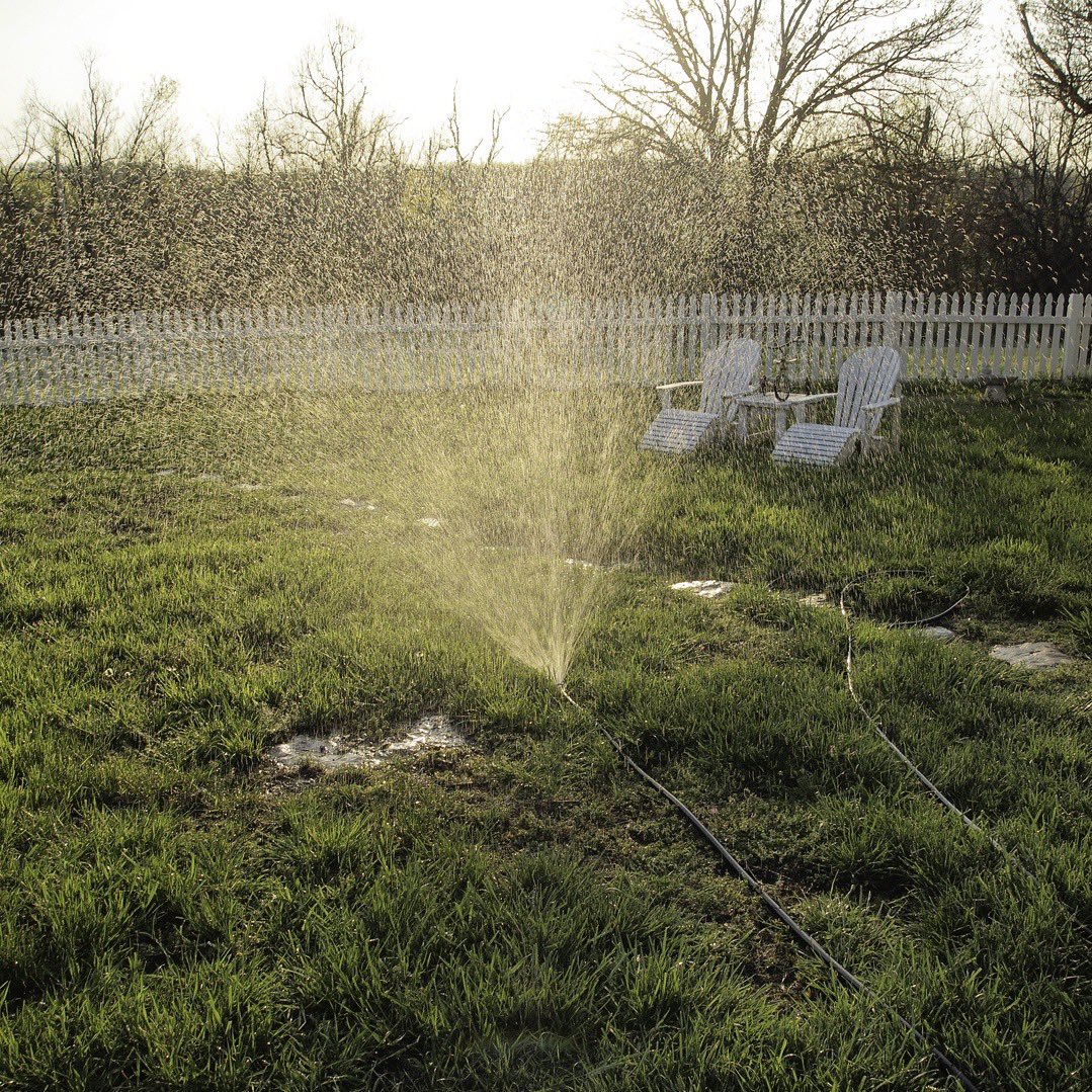 dreamland tweet media