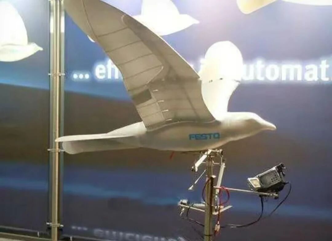 sebastien tweet media