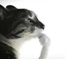 ∆V∆V∆ tweet media