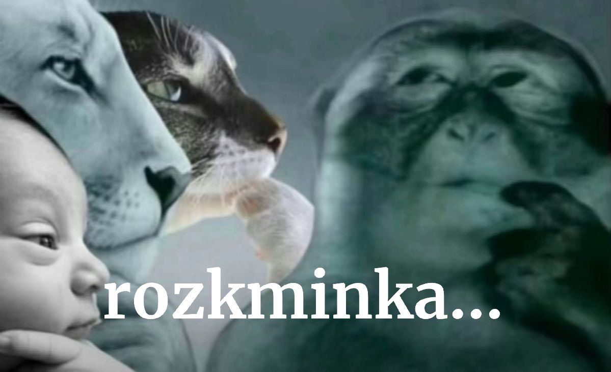 Antoni z Kijowa tweet media