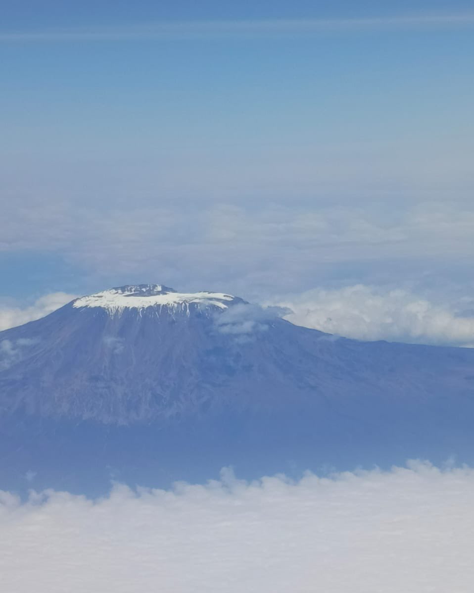 ᴛʀᴀᴠᴇʟ ꜱᴘᴇᴄɪᴀʟɪꜱᴛ 🇺🇬 tweet media