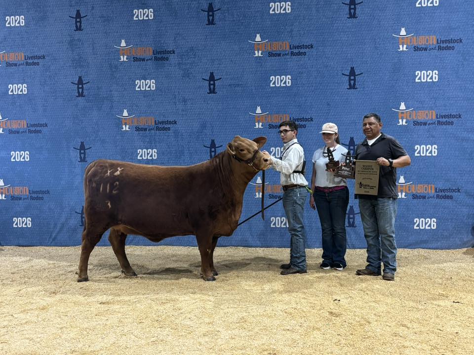 Pasadena ISD Aquatics tweet media