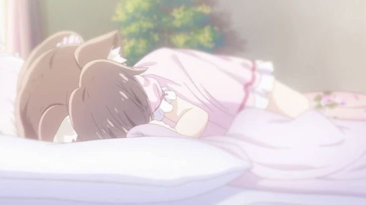 kitty⋆ ˚｡⋆౨ৎ˚ tweet media