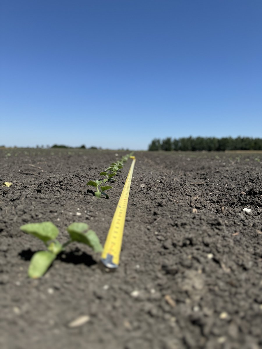 Cal Ag Solutions tweet media