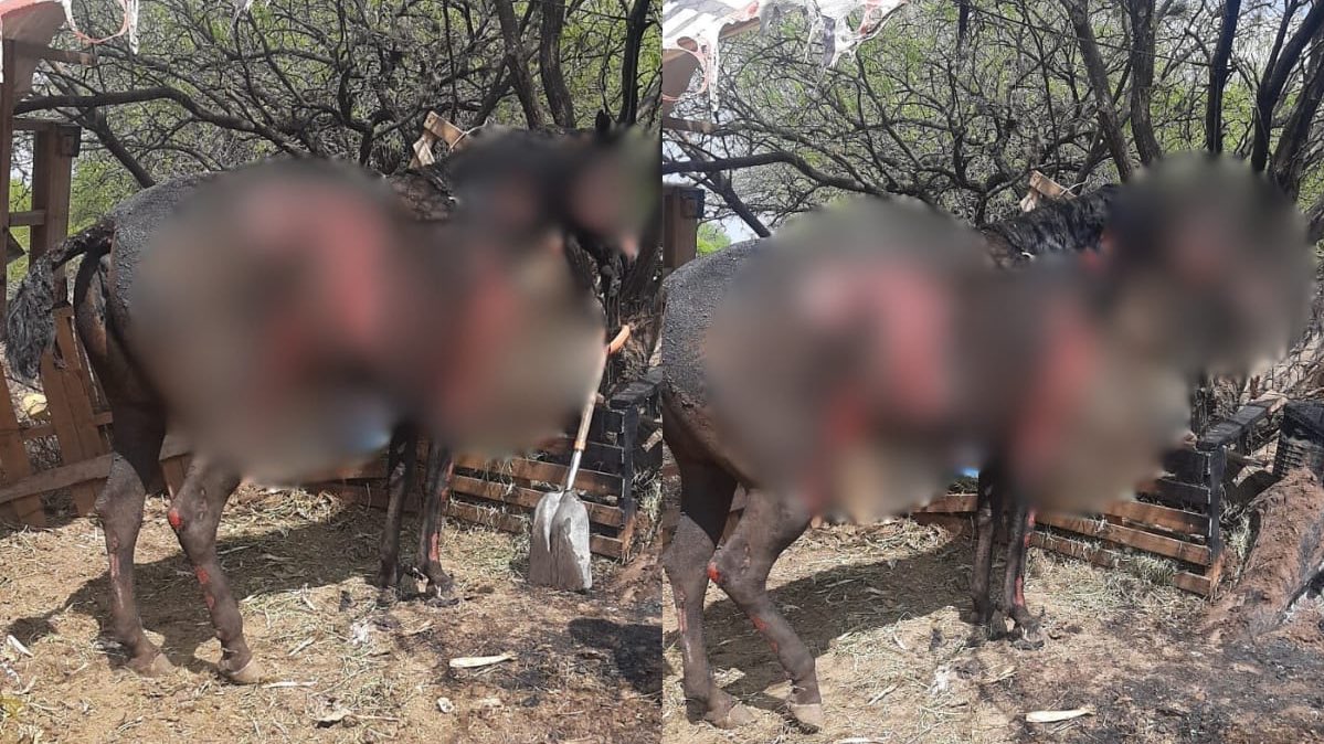 Lucía Hernández | Amo La Ciencia tweet media