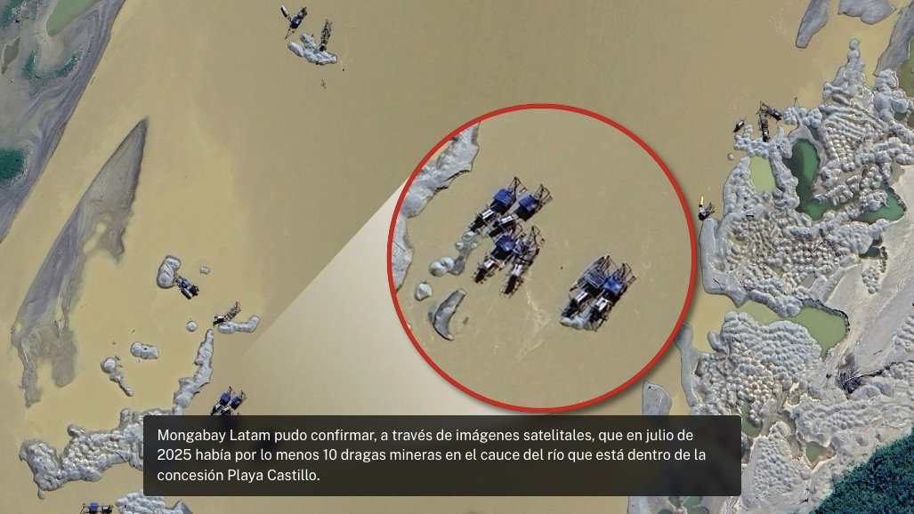 Mongabay Latam tweet media