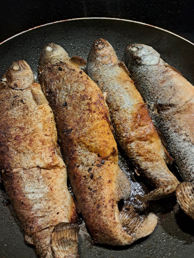 Cédric Pignat tweet media