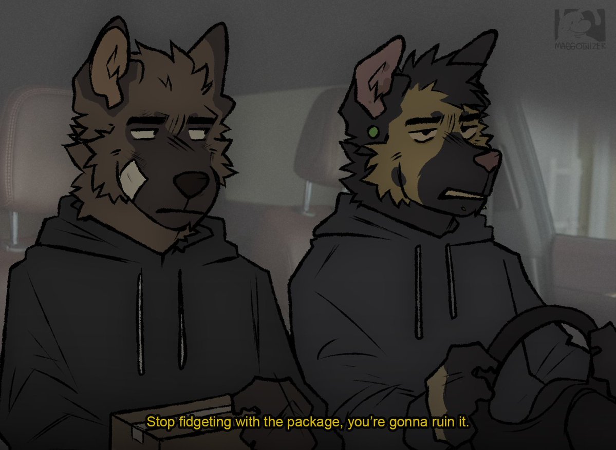 Aiden 🐊 tweet media