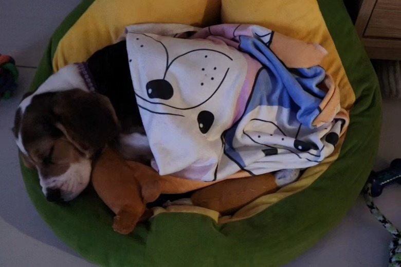 Eisenhart tweet media