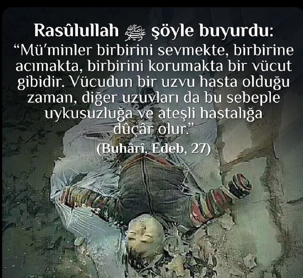 Erdem kemerli tweet media