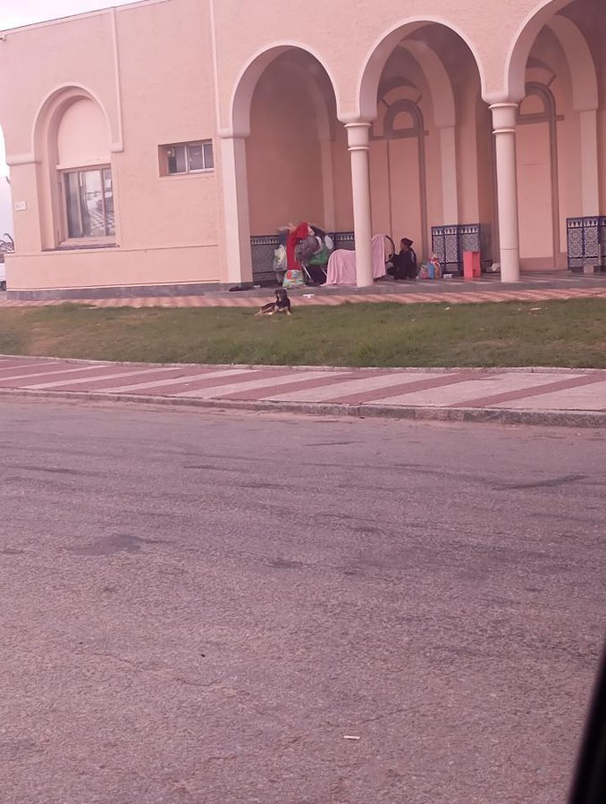 Jose Fructuoso Rivera y Toscana tweet media