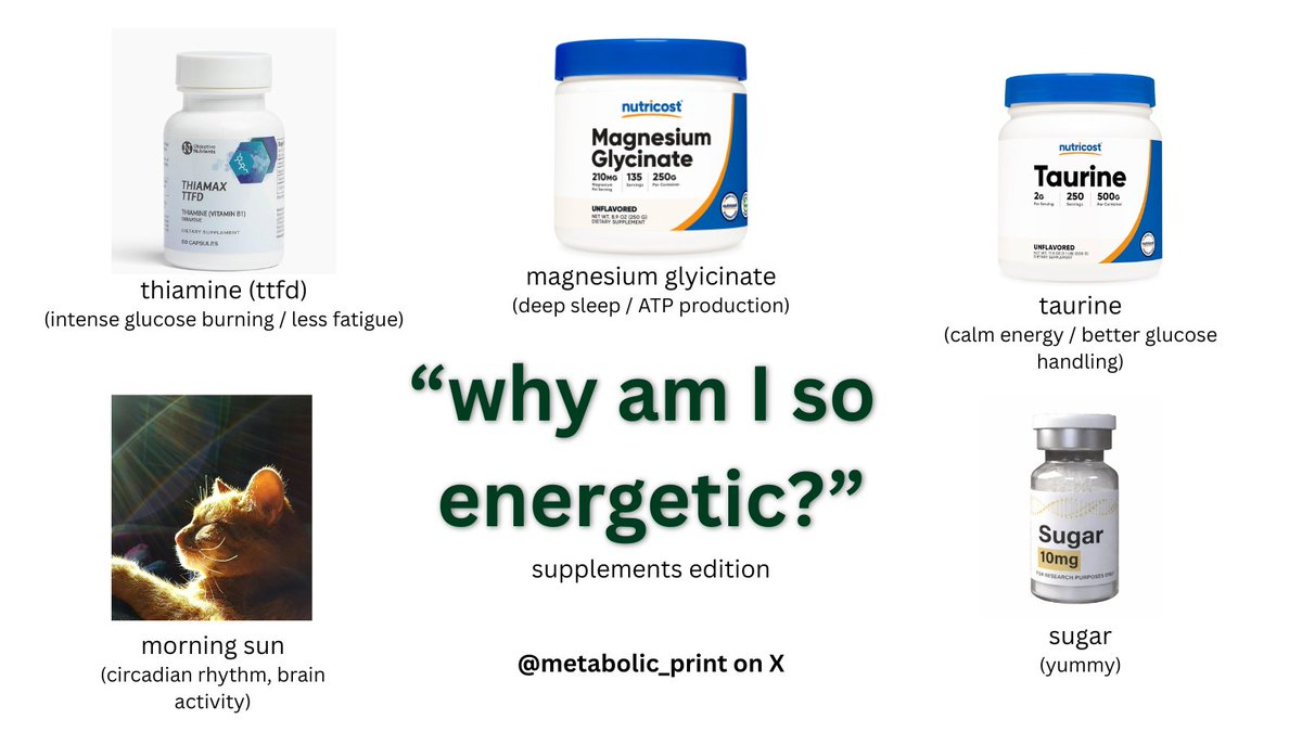 Metabolic Blueprint ⚡ tweet media