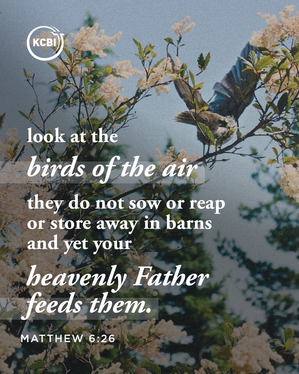 90.9 KCBI tweet media