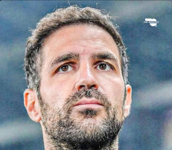 THE ÁĹĹÀŃ ĆÓÚÑŤÝ 🇺🇬 tweet media