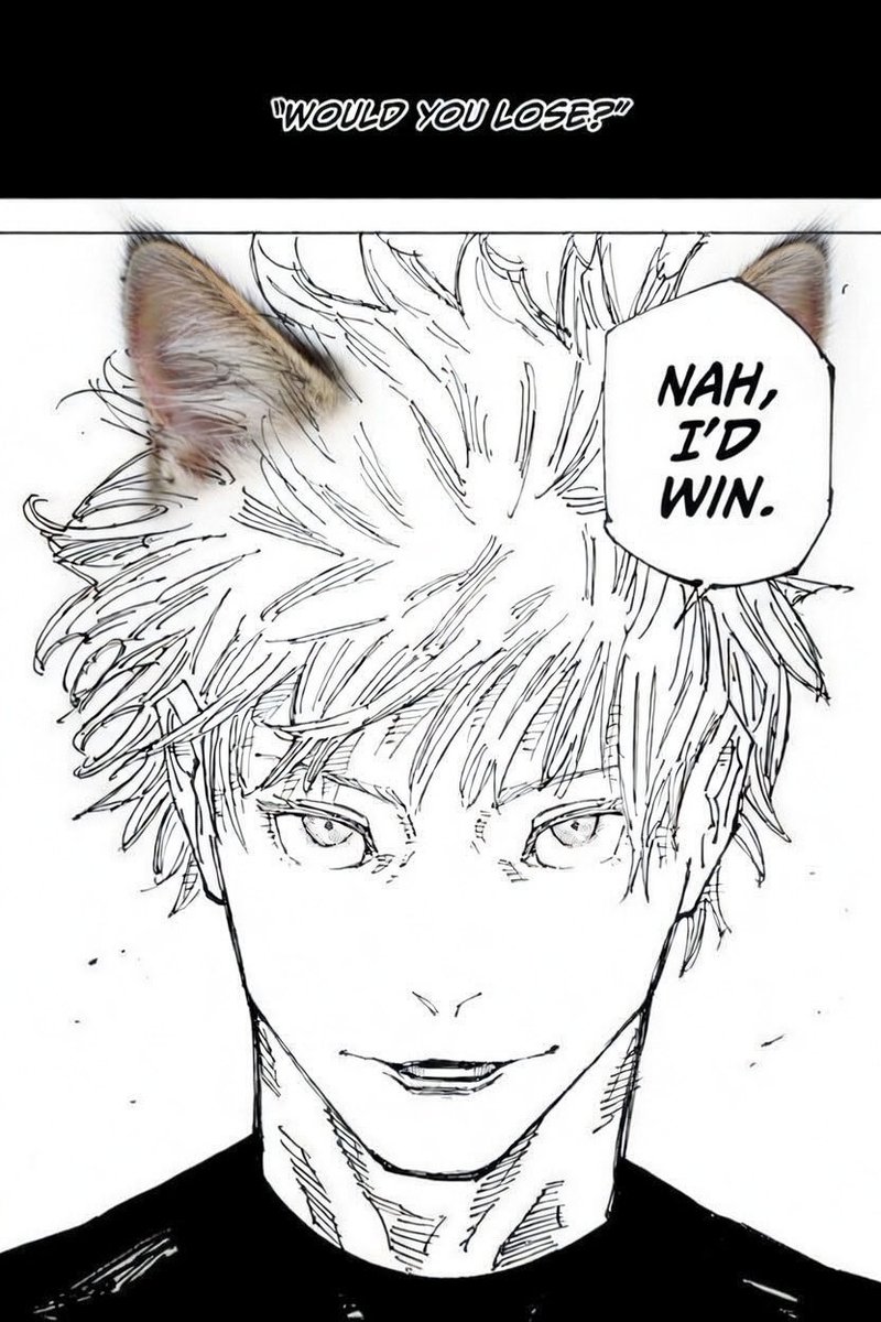 Alinor Catus tweet media