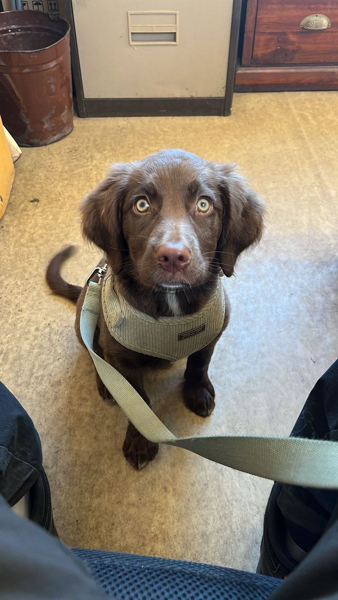 David Trott tweet media