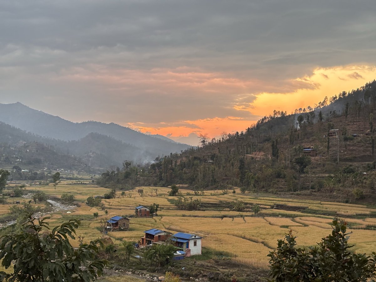 evening view #kumakh #farmland #wheatfarm #salyan #karnali #nepal #peace