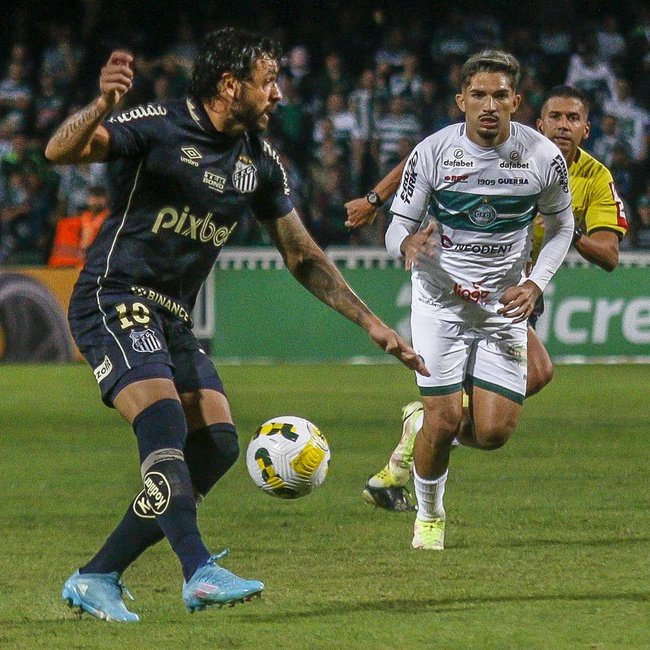 Central Baleinha tweet media