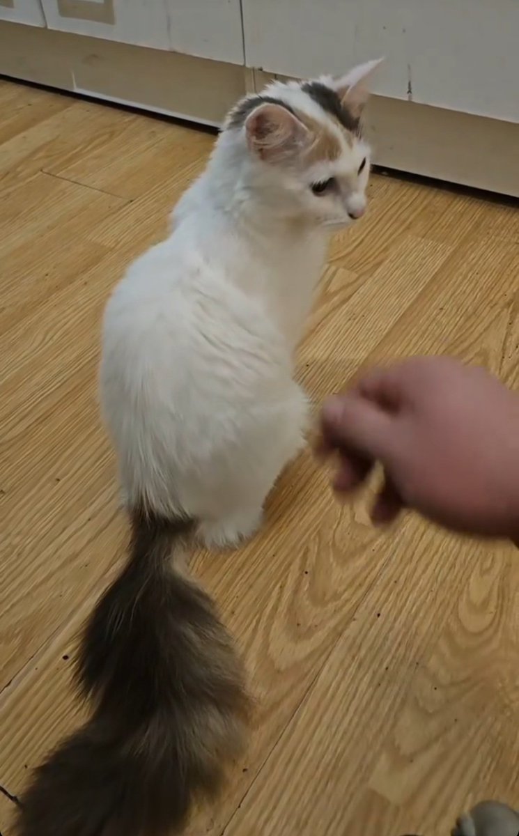 Adrian 🐧 (elle/il) tweet media