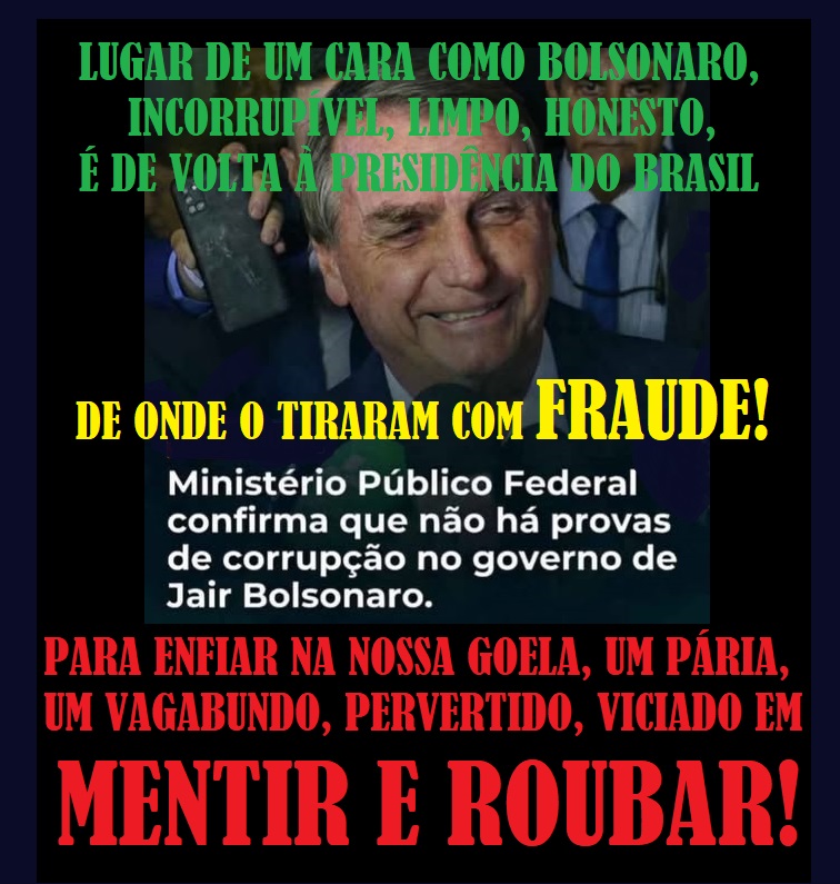 chico bonsai tweet media