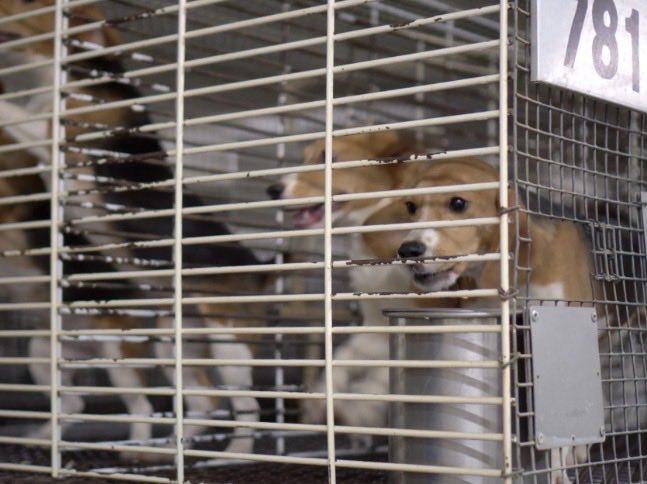 NothingIsArt tweet media