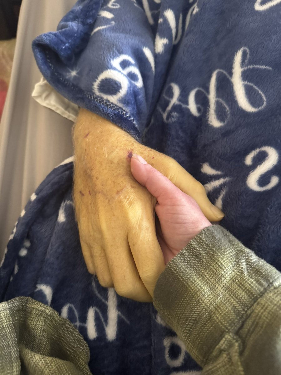 katie podar tweet media