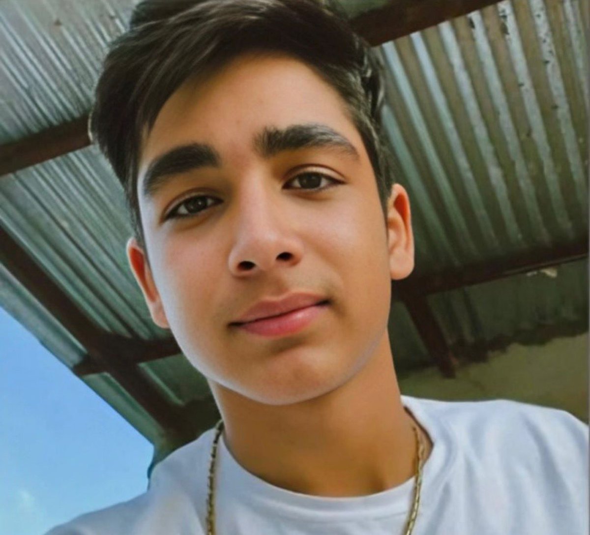 Hen Mazzig tweet media