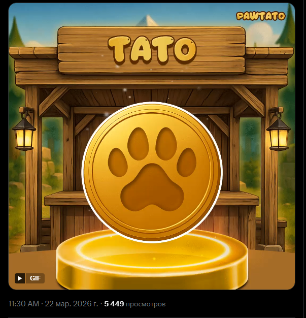 Cash_Tools's tweet photo. @PawtatoFinance camon Tato https://t.co/Pj2N59HlrI