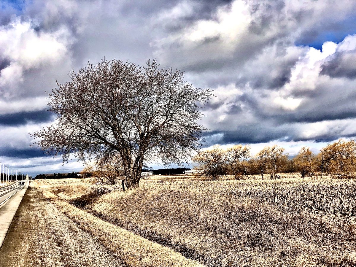 Nuran Sinal Ozsu tweet media