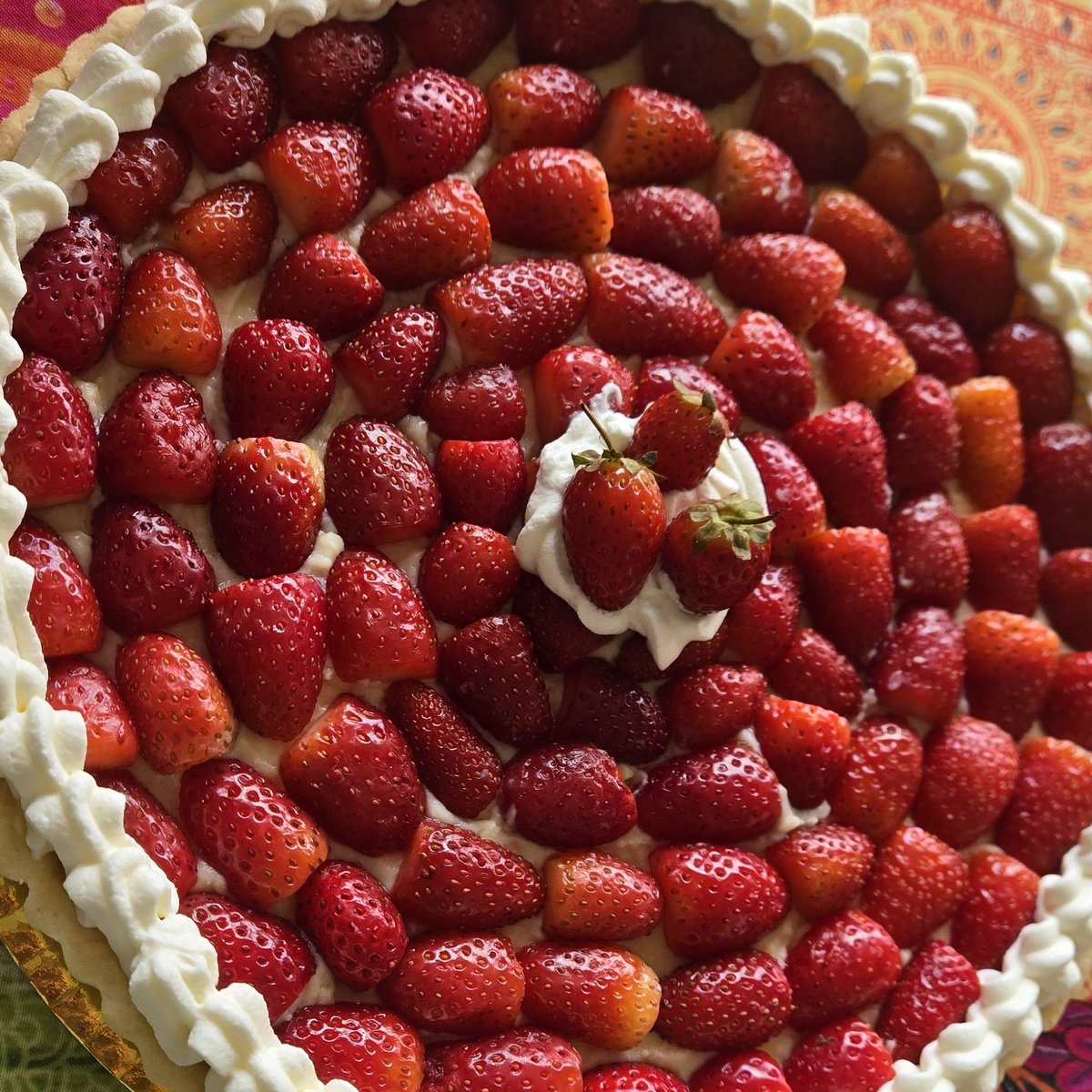 sofía ³³ tweet media