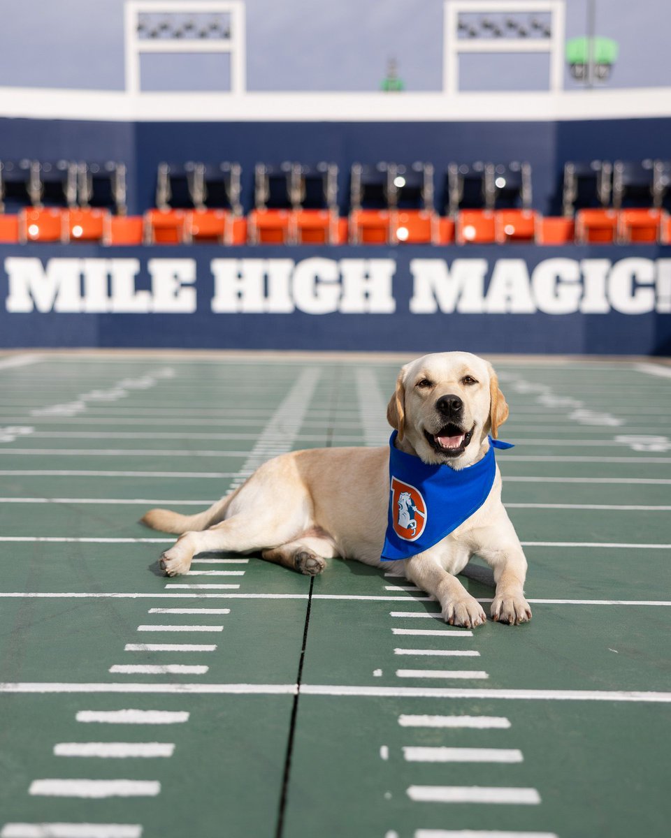 Denver Broncos tweet media