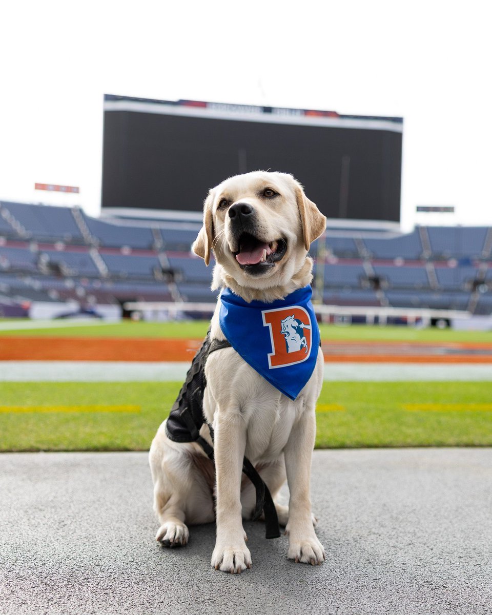 Denver Broncos tweet media