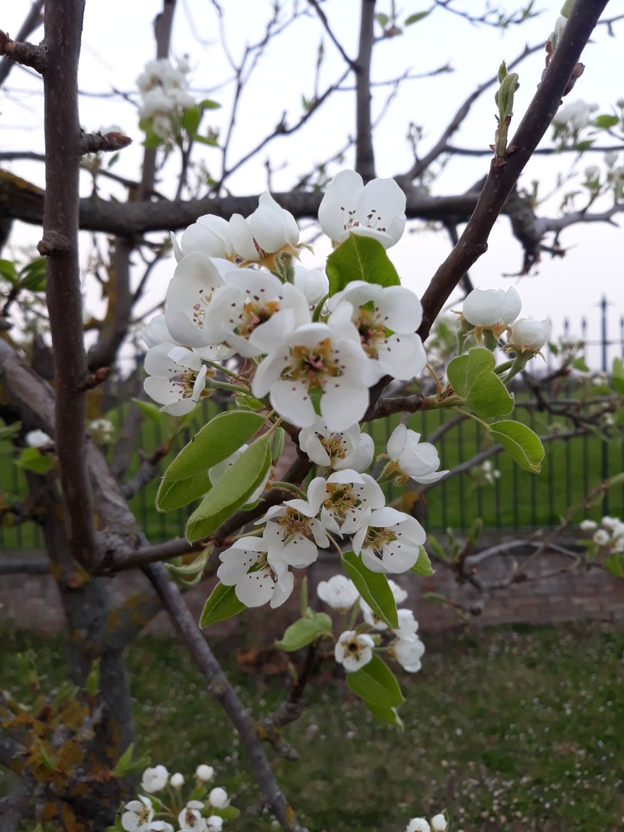 Gemma 💐 Italiana DOC 🇮🇹💚🇮🇹 tweet media