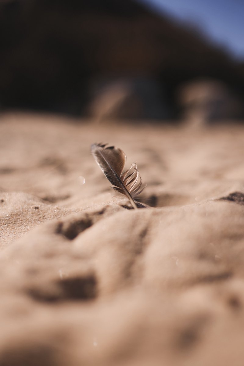 johnny costa tweet media