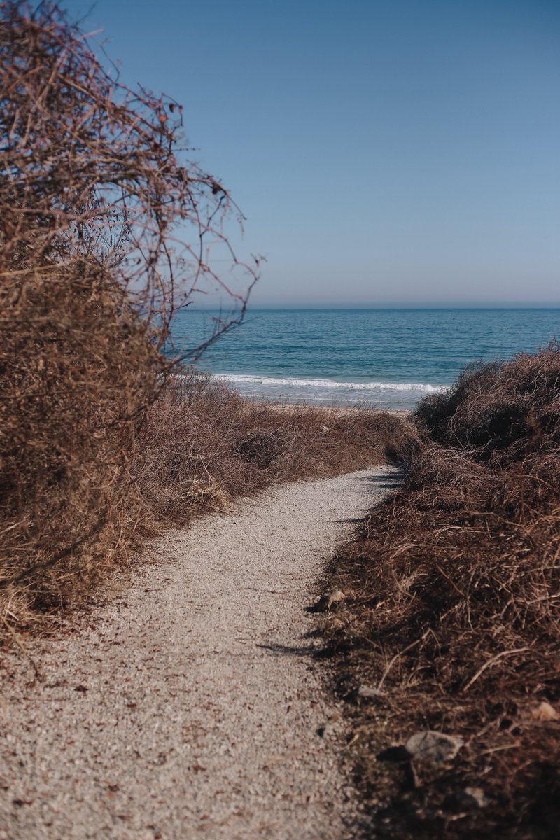 johnny costa tweet media