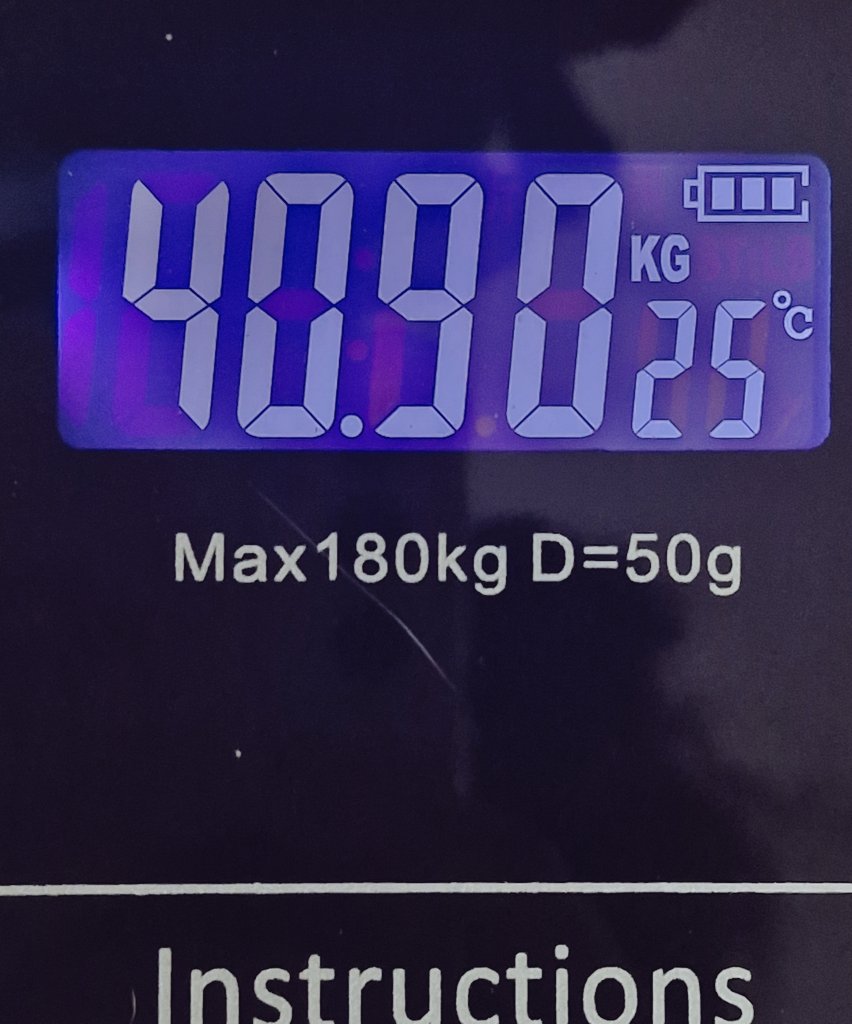 gata gorda -1 tweet media