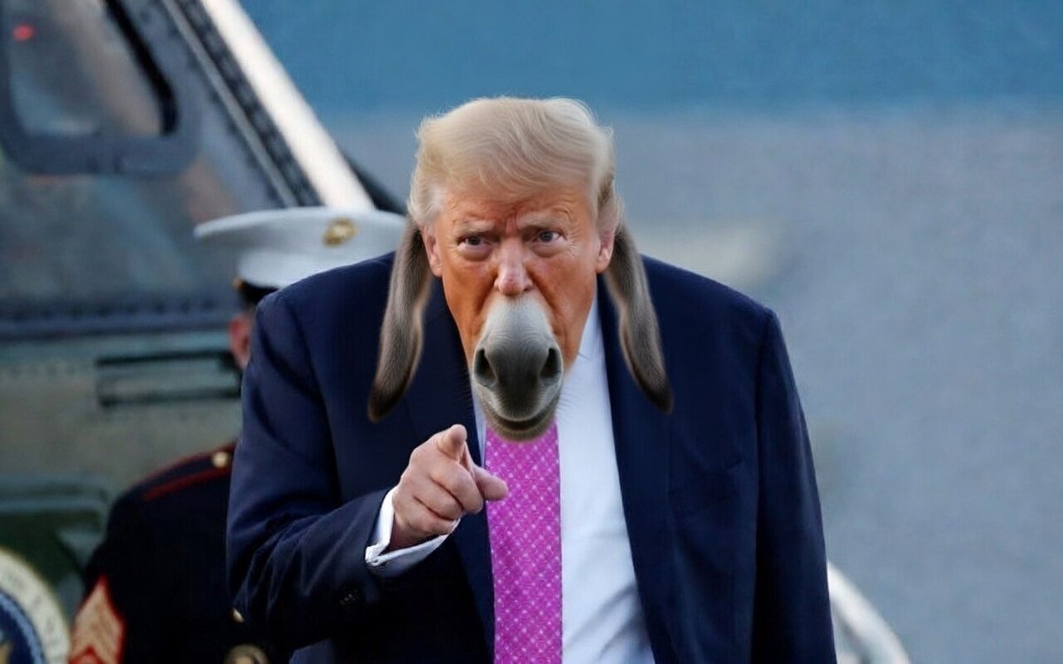 Dr Bunsen Honeydew’s Specs🗿🐏 tweet media