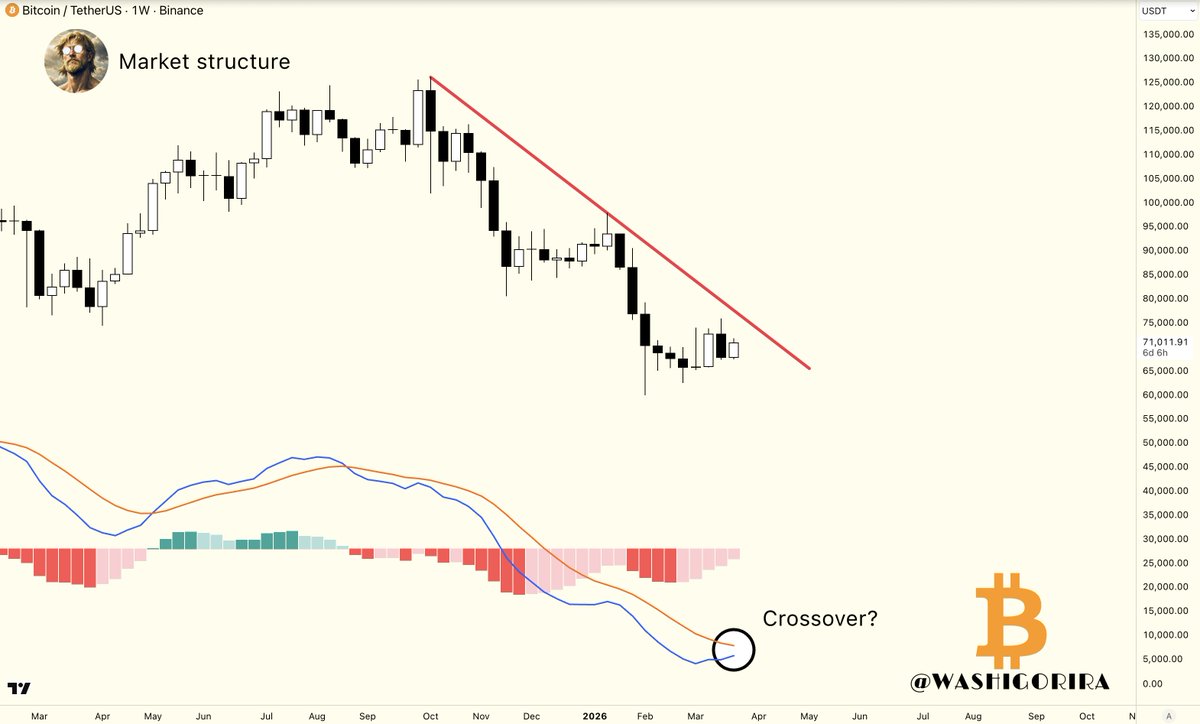 Titan of Crypto tweet media