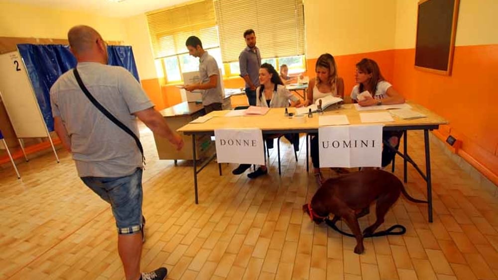 🦔𝔽𝕦𝕤𝕔𝕠𝕄𝕒𝕣𝕚𝕟𝕒®️ ♥️🪷 tweet media