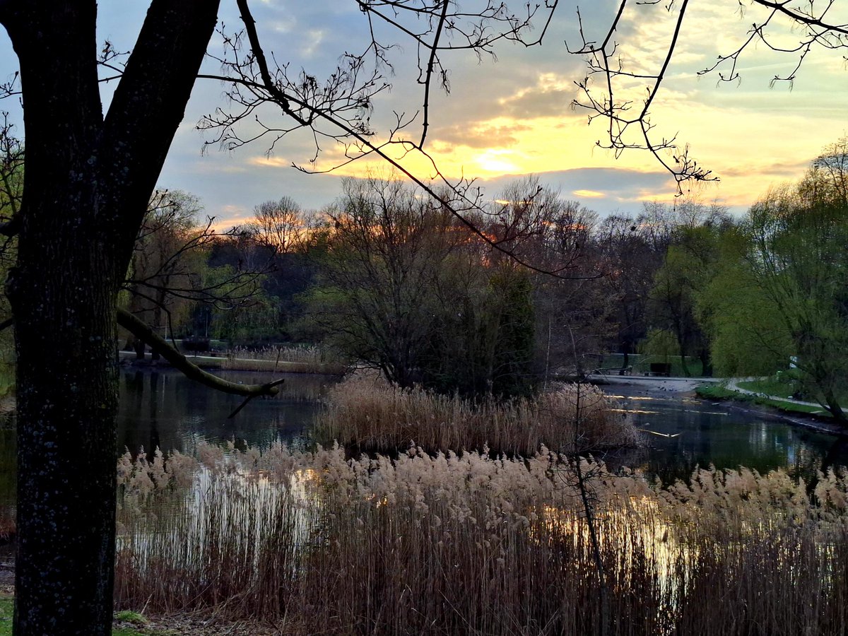 Mira S. 🇵🇱🇪🇺 tweet media