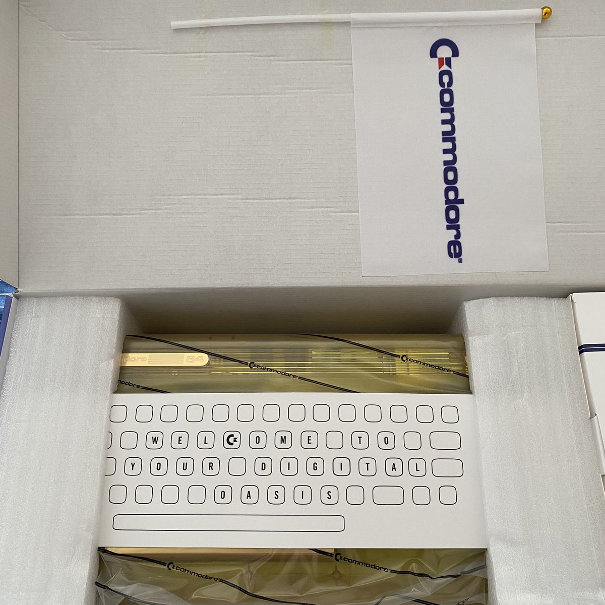 🕹 RetroGuyBry 🕹 tweet media