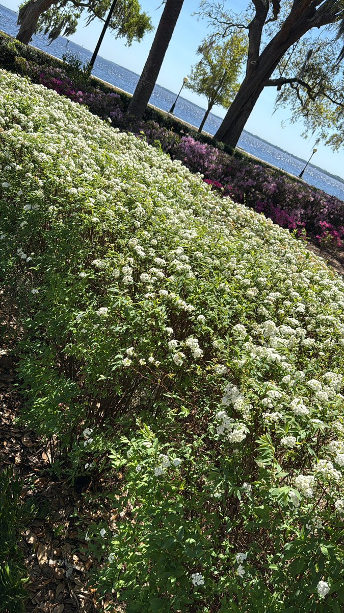 Vitaliy Chernyavskiy tweet media