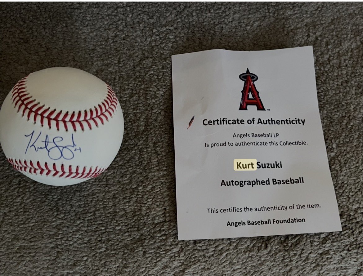 Mandy Mandi tweet media