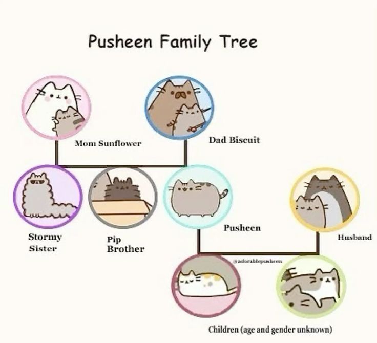 Pusheen parody account tweet media