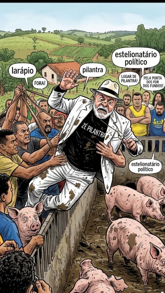 chico bonsai tweet media