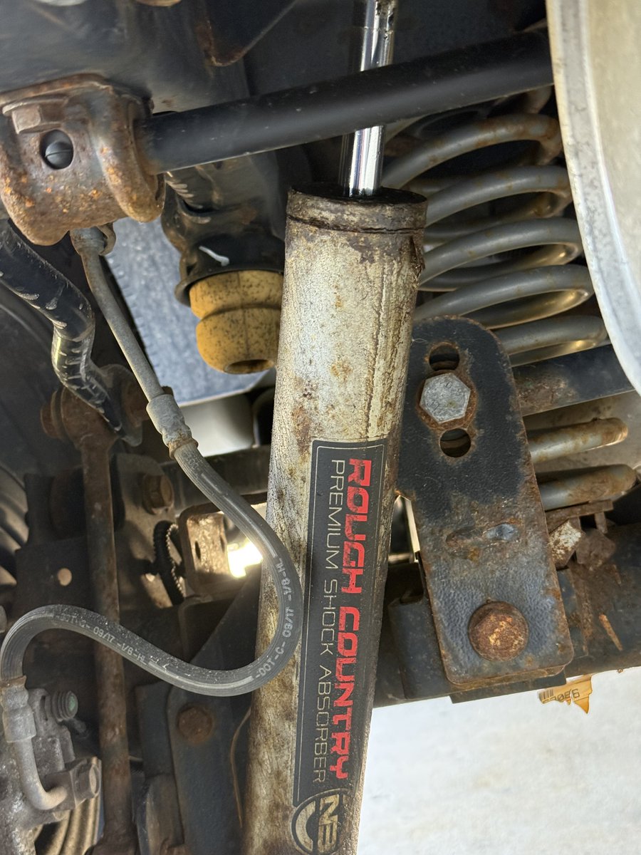 Steve 🇺🇸 tweet media